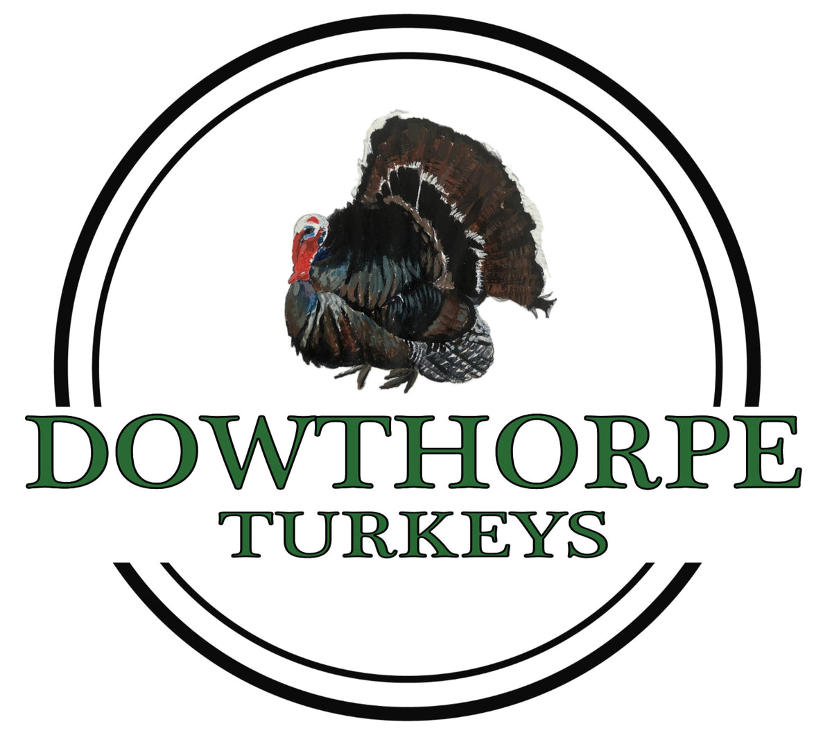 Two turkey drumsticks